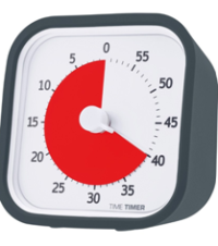 TIME TIMER